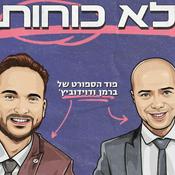 Podcast לא כוחות - ברמן ודוידוביץ’