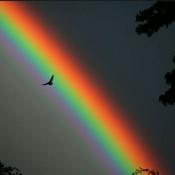 Podcast L'envahissement par la Gloire dans l'obscurité de la Foi