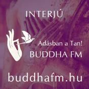 Podcast Nem jár rosszul, ha ilyen bölcseket követ