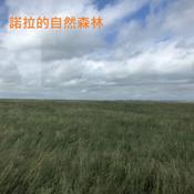 Podcast 諾拉的自然森林