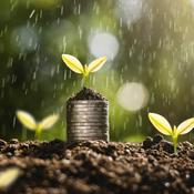 Podcast Nutritional Currency: 3 Ways to Build Metabolic Wealth Part 4