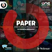 Podcast Paper