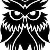 Podcast Photographers Voice