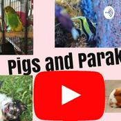 Podcast Pigs And Parakeets