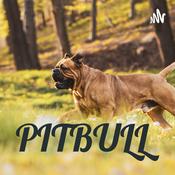 Podcast PITBULL