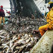 Podcast Podcast- A Pesca Preadatória Em Goiás