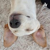 Podcast ProfeEdvania