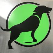 Podcast Puppy Training Principles