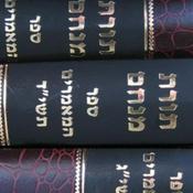 Podcast Rabbi Oster Daily Morning Chassidus Shiur