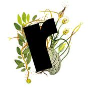 Podcast Raccolti Festival