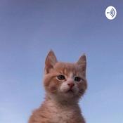 Podcast Ragazzi Di Provincia