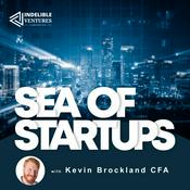 Podcast SEA of Startups
