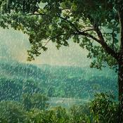 Podcast Sleepy Whispers - ASMR for Deep Rest