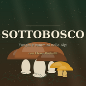 Podcast Sottobosco — Funghi e cammini nelle Alpi