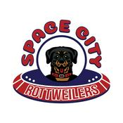 Podcast Space city rottweilers podcast