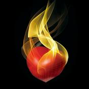 Podcast Stephanus Herry