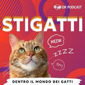 Podcast StiGatti