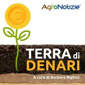 Podcast Terra di Denari