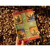 Podcast The Four Agreements in English
