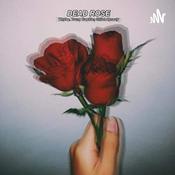 Podcast The RAW truth