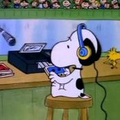 Podcast the yaracast