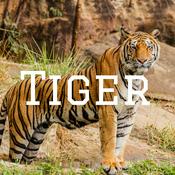 Podcast Tiger