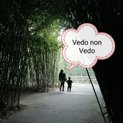 Podcast Vedo Non Vedo
