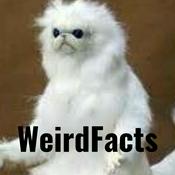Podcast WeirdFacts