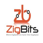 Podcast Zigbits Network Design Podcast