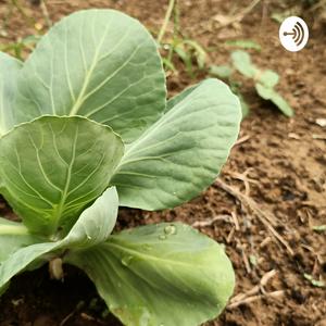 Agricoltura E News