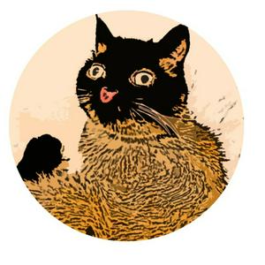 Area Podcast