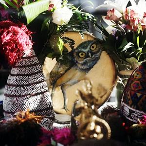Ayahuasca Journeying and Shamanism