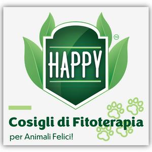 Benessere Naturale: la Fitoterapia per gli Animali