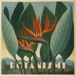 Botanismi