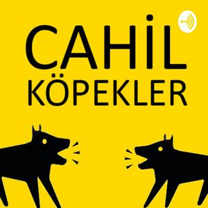 BAZA | CAHİL KÖPEKLER