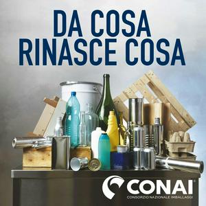 Da cosa rinasce cosa