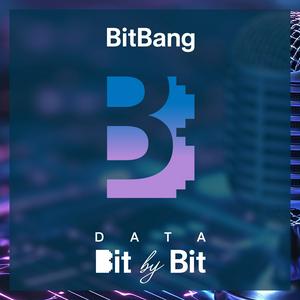 Data Bit by Bit