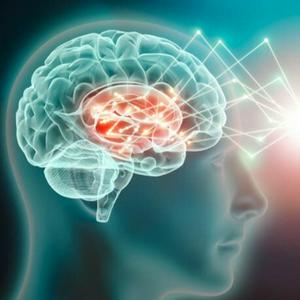 Diventare AntiFragile. Neuroscienze e Business