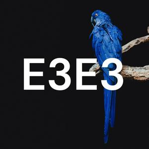 E3E3