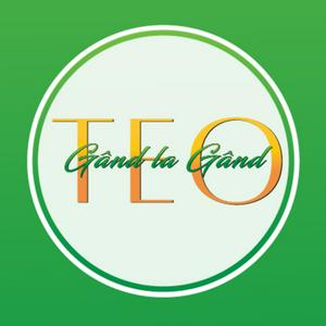 Gand la Gand cu Teo