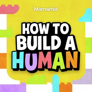 How To Build A Universe