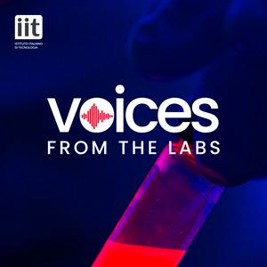 Voices from the labs