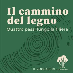 Il cammino del legno