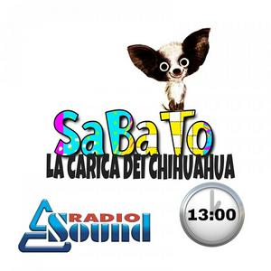 La Carica Dei Chihuahua