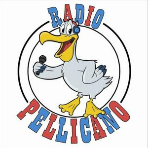 Lo Show di Radio Pellicano