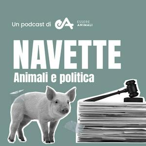 Navette