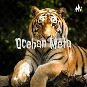 Ocehan Meta