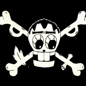 PENNA PIRATA