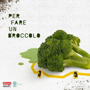 Per fare un broccolo