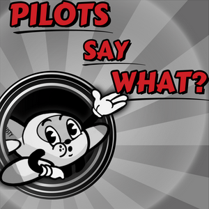 Pilots Say What?